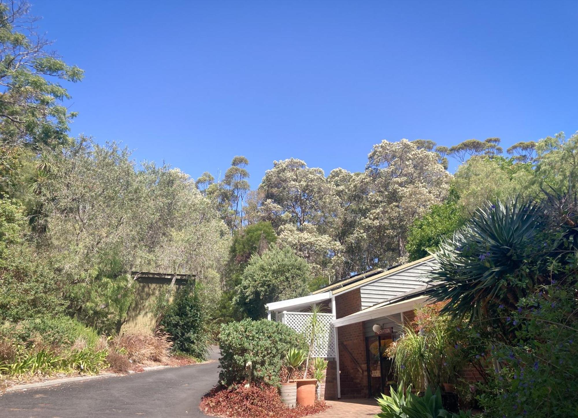 Edge Of The Forest Motel Margaret River Exterior foto